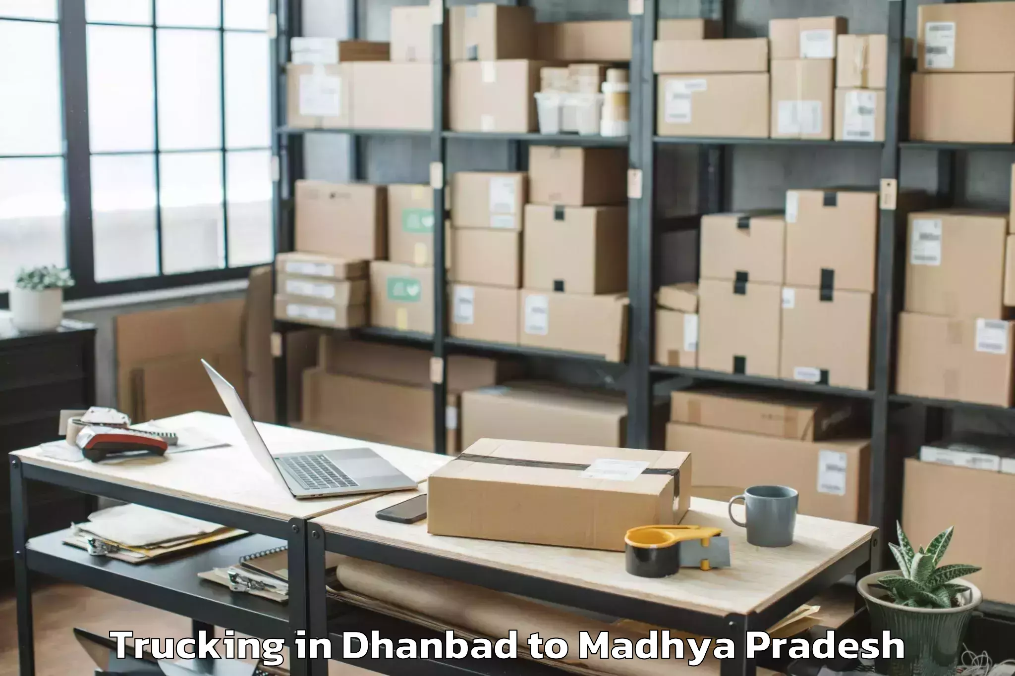 Quality Dhanbad to Raghogarh Vijaypur Trucking